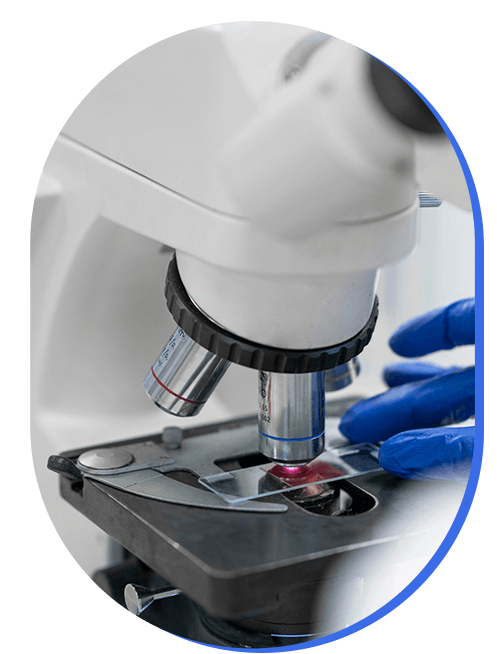 biopsia-renal-precio.png