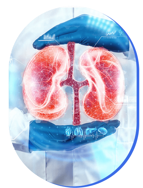 consulta-especialista-renal.png