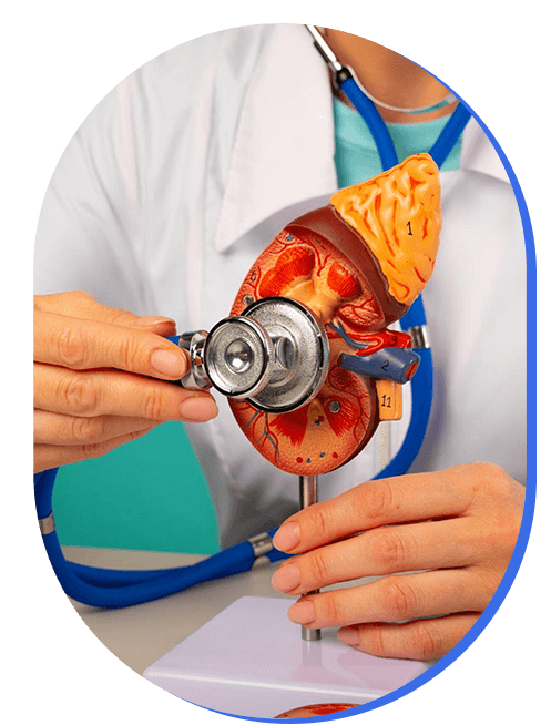 monitoreo-de-kidney.png