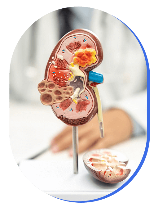 nefrologia-clinica.png