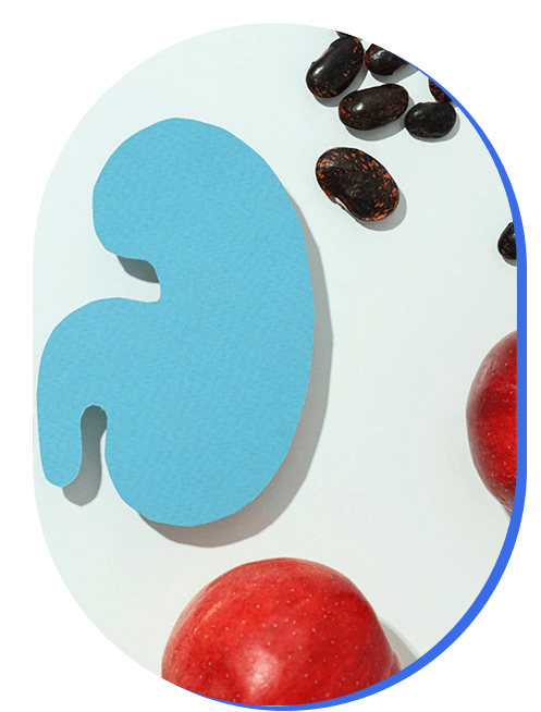 soporte-renal-nutricional.png